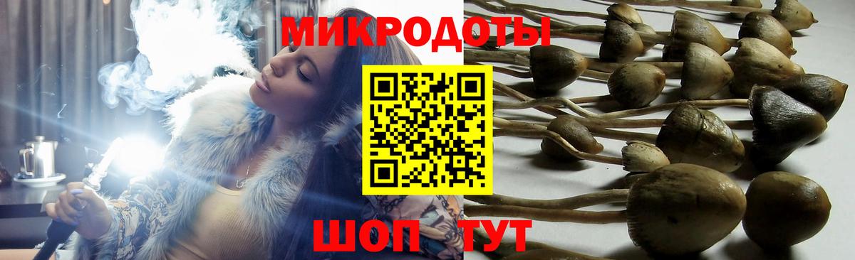 Псилоцибиновые грибы Magic Shrooms  Вход с VPN  Менделеевск 