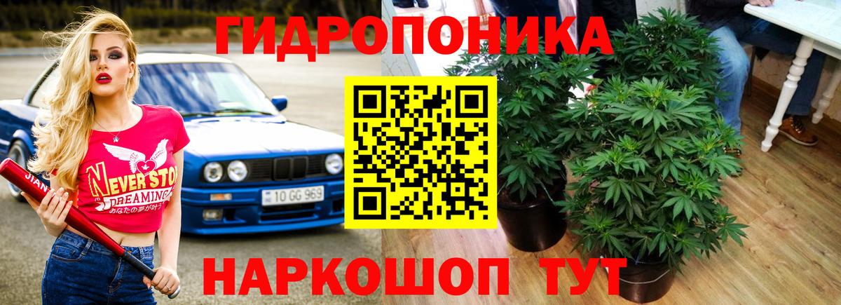 Бошки марихуана AK-47  Вход с VPN  Бошки Шишки марихуана  Менделеевск  Марихуана Amnesia 